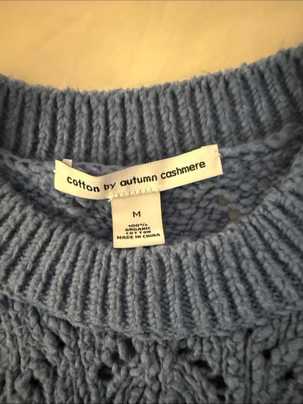 Autumn Cashmere Sky Blue Open-Knit Crewneck Sweater